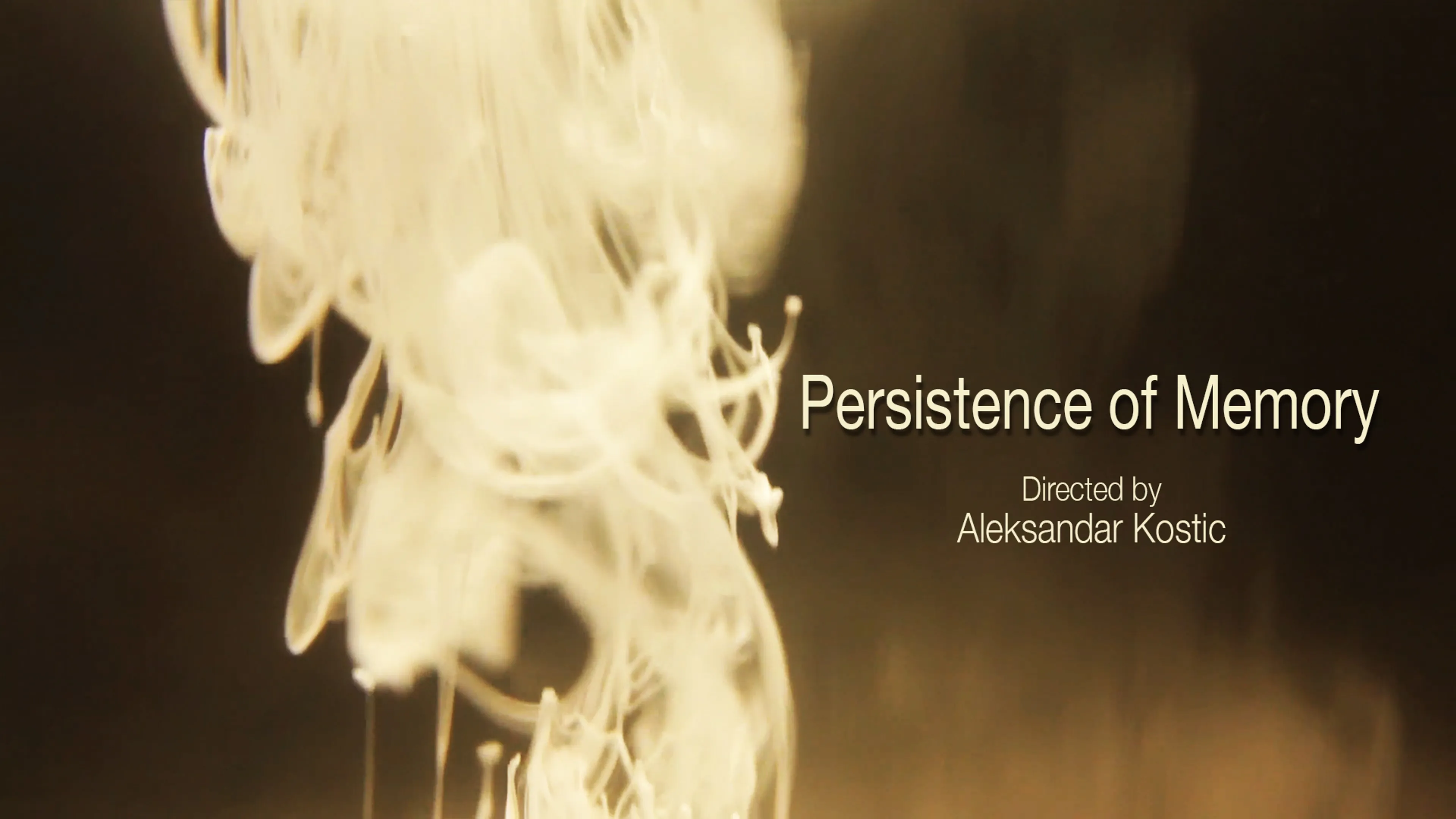 Persistence of Memory poster